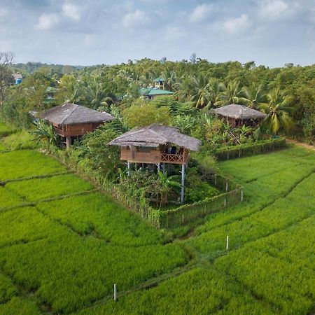 The Hideout Sigiriya 빌라 외부 사진