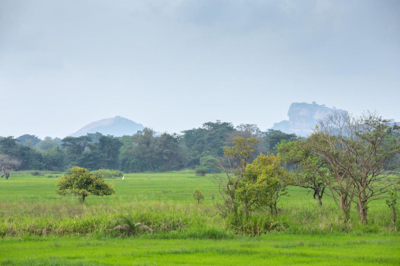 The Hideout Sigiriya 빌라 외부 사진