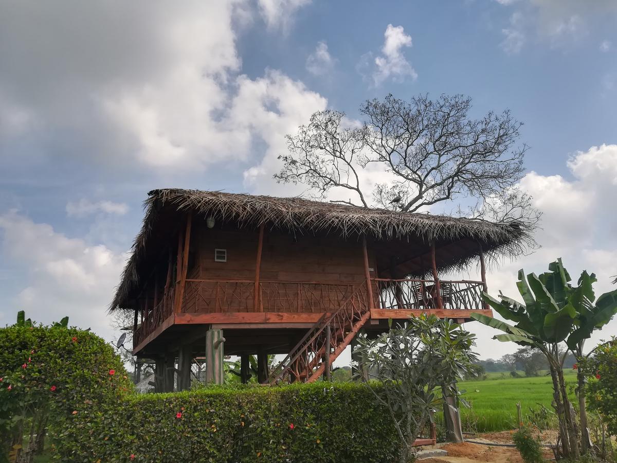 The Hideout Sigiriya 빌라 외부 사진