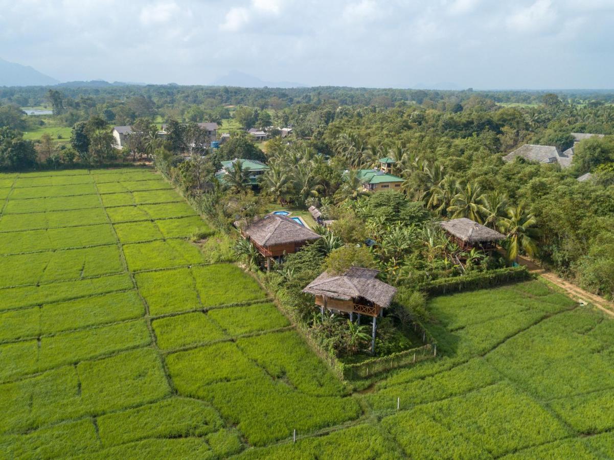 The Hideout Sigiriya 빌라 외부 사진